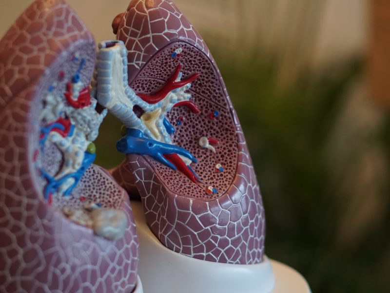 Brněnské transplantační centrum překročilo milník 1000 transplantací jater