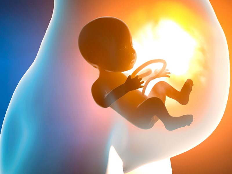 Nový projekt řízený z Brna má zlepšit prognózu dětí s genetickými poruchami